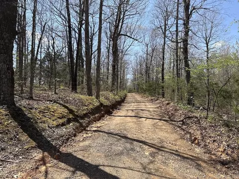 tbd Liberty Rd, Leslie, AR 72645 photo 8