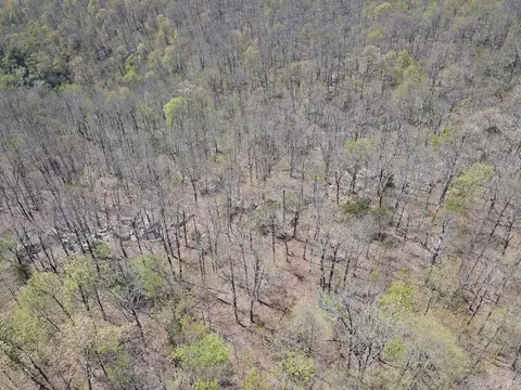 tbd Liberty Rd, Leslie, AR 72645 photo 35
