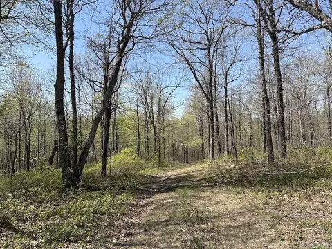 tbd Liberty Rd, Leslie, AR 72645 photo 47