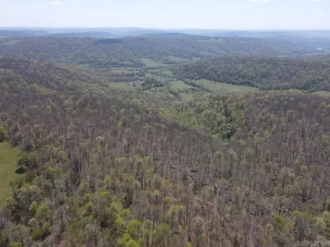 tbd Liberty Rd, Leslie, AR 72645 photo 30