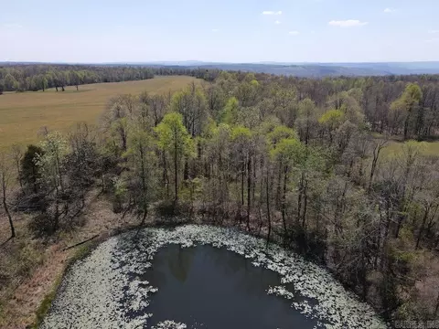 tbd Liberty Rd, Leslie, AR 72645 photo 19