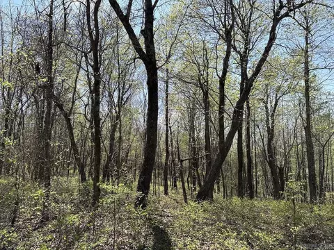 tbd Liberty Rd, Leslie, AR 72645 photo 48
