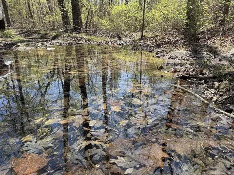 tbd Liberty Rd, Leslie, AR 72645 photo 7