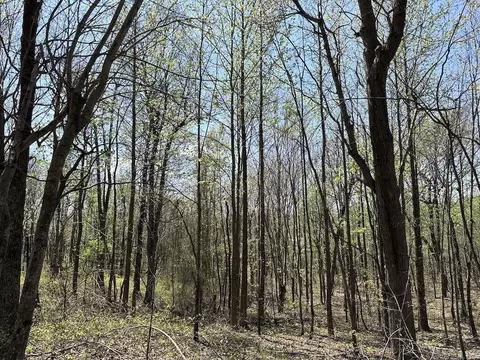 tbd Liberty Rd, Leslie, AR 72645 photo 49