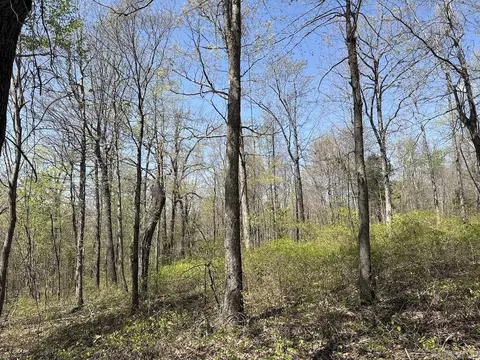tbd Liberty Rd, Leslie, AR 72645 photo 6