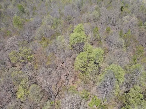 tbd Liberty Rd, Leslie, AR 72645 photo 36