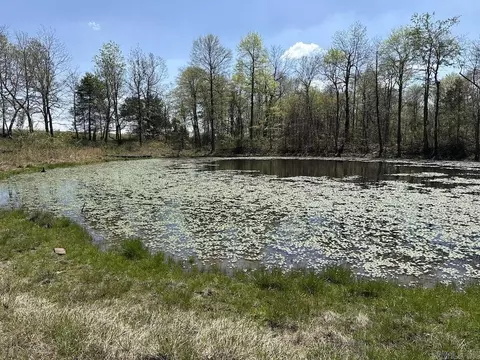 tbd Liberty Rd, Leslie, AR 72645 photo 43