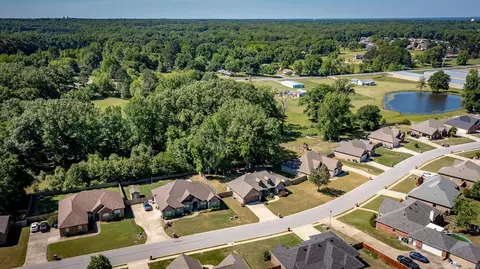 View/Area - 107 Hudson Branch Dr, Austin, AR 72007 photo 2 of 2