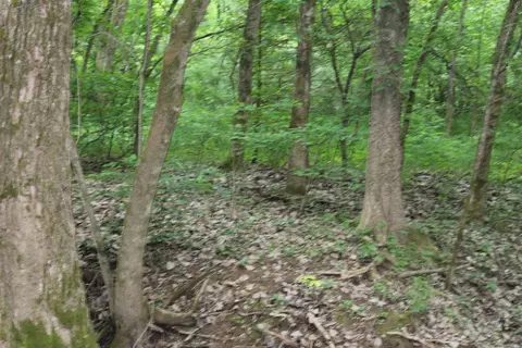 0 County Rd 157 River Ridge Ests, Guion, AR 72540 photo 13