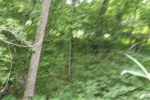 0 County Rd 157 River Ridge Ests, Guion, AR 72540 photo 24