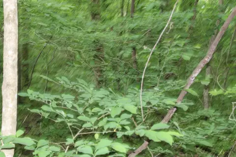 0 County Rd 157 River Ridge Ests, Guion, AR 72540 photo 26