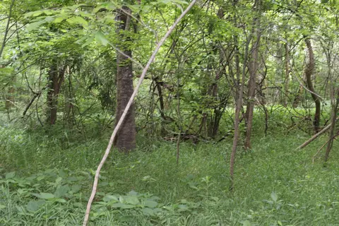 0 County Rd 157 River Ridge Ests, Guion, AR 72540 photo 18