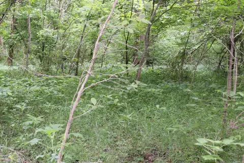 0 County Rd 157 River Ridge Ests, Guion, AR 72540 photo 17
