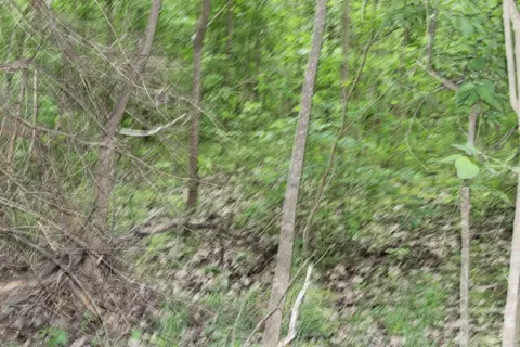 0 County Rd 157 River Ridge Ests, Guion, AR 72540 photo 16