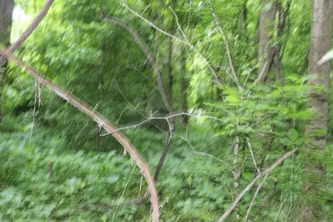 0 County Rd 157 River Ridge Ests, Guion, AR 72540 photo 23