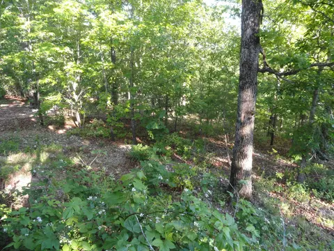 Exterior - 434 Fallen Tree Rd, Marshall, AR 72650 photo 7 of 14