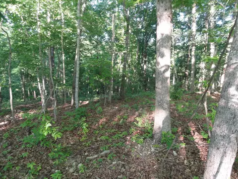 Exterior - 434 Fallen Tree Rd, Marshall, AR 72650 photo 13 of 14