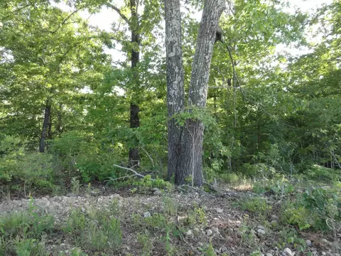 Other - 434 Fallen Tree Rd, Marshall, AR 72650 photo 19 of 22