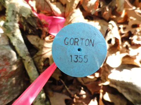 Other - 434 Fallen Tree Rd, Marshall, AR 72650 photo 21 of 22
