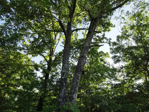 Exterior - 434 Fallen Tree Rd, Marshall, AR 72650 photo 10 of 14