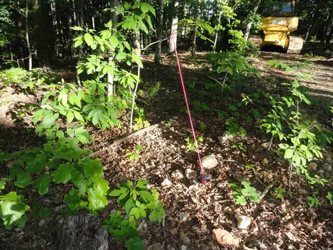 Exterior - 434 Fallen Tree Rd, Marshall, AR 72650 photo 12 of 14