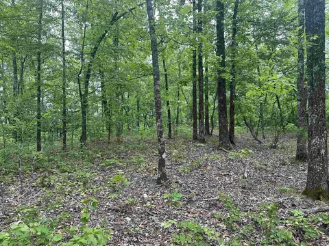 000 Holly Mtn Rd, Clinton, AR 72031