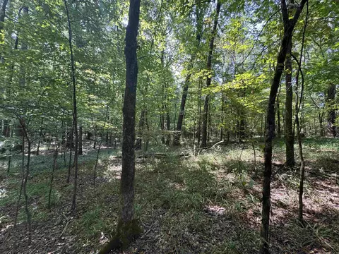 2 Liberty Road, Norman, AR 71960 photo 7