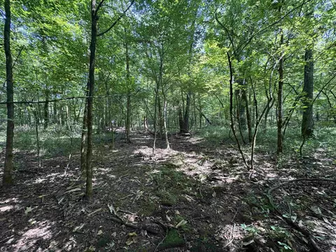 2 Liberty Road, Norman, AR 71960 photo 8