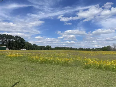 000 Highway 291, Prattsville, AR 72129