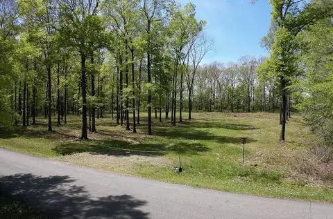 135 W Eden Park Rd, Searcy, AR 72143 photo 5