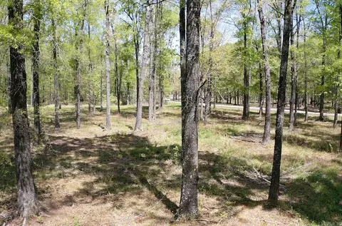 135 W Eden Park Rd, Searcy, AR 72143 photo 16