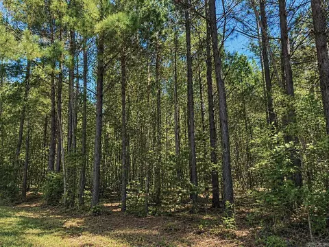84 Grant 733, Sheridan, AR 72150