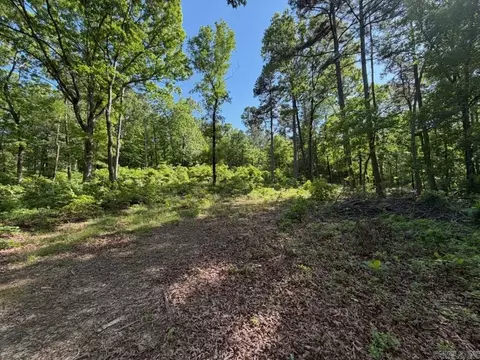 00 Earnie Woods Rd, Rose Bud, AR 72137
