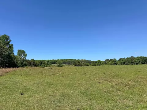 82 Herring Rd, Quitman, AR 72131 photo 7