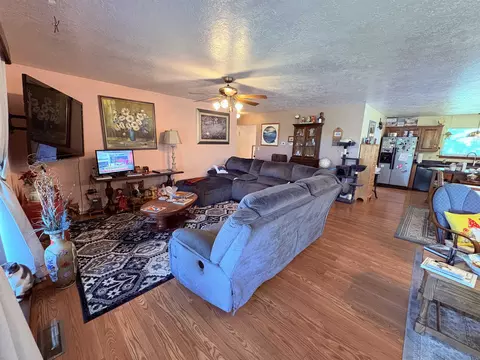 Living - 1350 Circle Rd, Ash Flat, AR 72513 photo 4 of 10