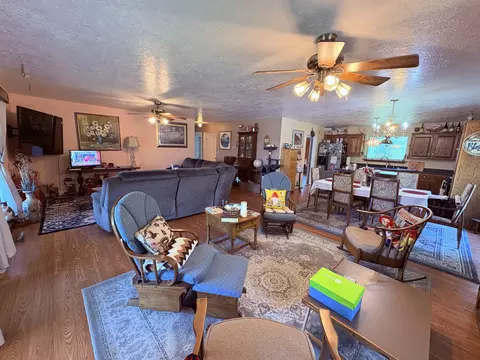 Living - 1350 Circle Rd, Ash Flat, AR 72513 photo 5 of 10