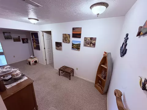 Entry Way - 1350 Circle Rd, Ash Flat, AR 72513 photo 1 of 1