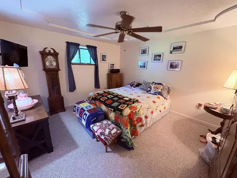 Bedroom - 1350 Circle Rd, Ash Flat, AR 72513 photo 2 of 3