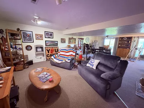 Living - 1350 Circle Rd, Ash Flat, AR 72513 photo 10 of 10