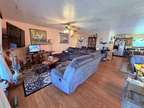 Living - 1350 Circle Rd, Ash Flat, AR 72513 photo 8 of 10