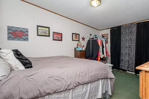 Bedroom - 153 Highway 160, Hermitage, AR 71647 photo 4 of 5