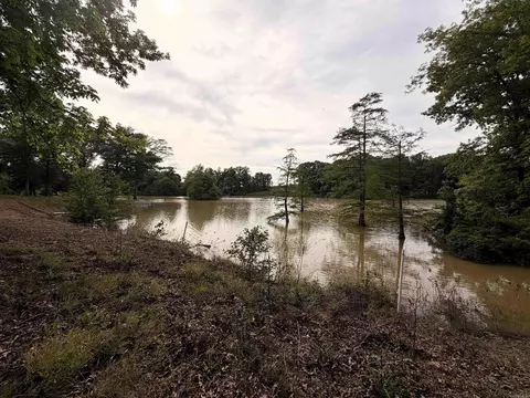 12798 Griffin Rd, Des Arc, AR 72040