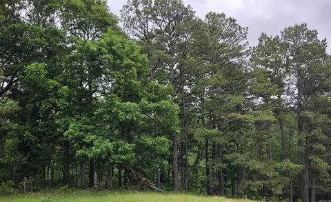 0 Angora Mountain Rd, Leslie, AR 72645 photo 5