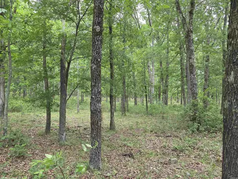0 Angora Mountain Rd, Leslie, AR 72645 photo 2