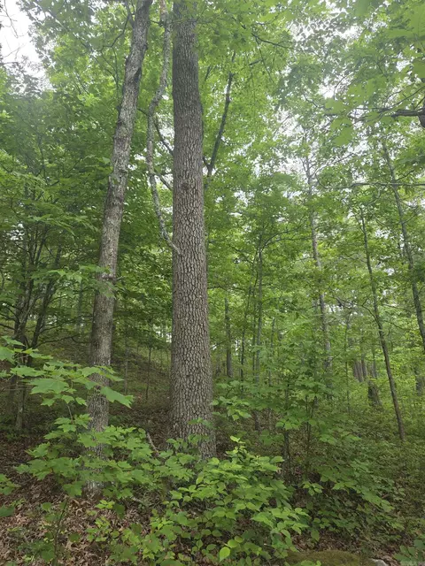 0 Angora Mountain Rd, Leslie, AR 72645 photo 20