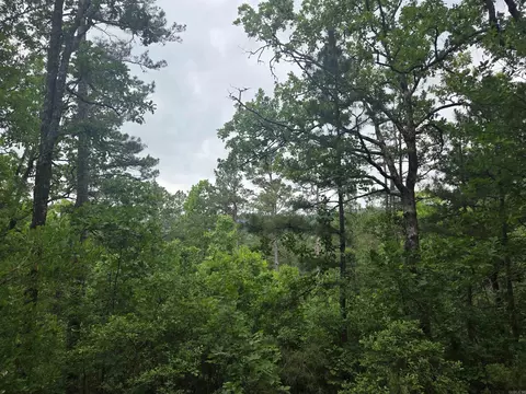 0 Angora Mountain Rd, Leslie, AR 72645 photo 6