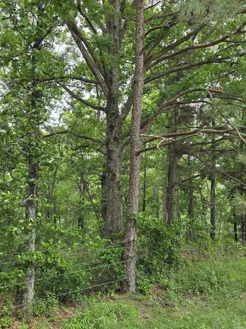 0 Angora Mountain Rd, Leslie, AR 72645 photo 7