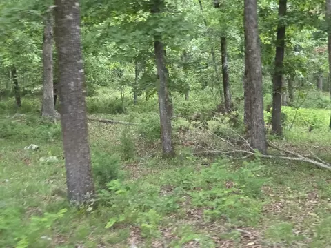 0 Angora Mountain Rd, Leslie, AR 72645 photo 15