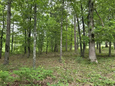 0 Angora Mountain Rd, Leslie, AR 72645 photo 16