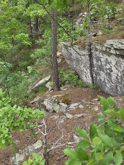 0 Angora Mountain Rd, Leslie, AR 72645 photo 26
